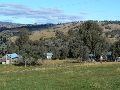 Gaddleen Grove Cottages - Accommodation Australia 7