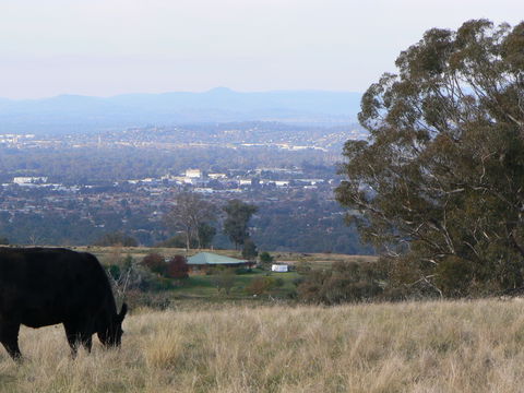 Gaddleen Grove Cottages - Accommodation Australia 8
