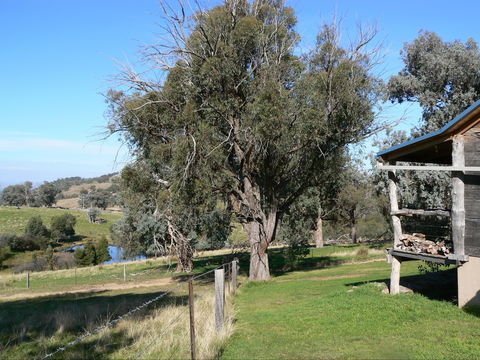 Gaddleen Grove Cottages - Accommodation Australia 9