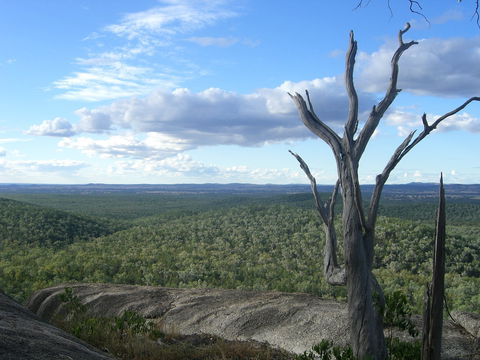 Goat Rock Camping Ground And Tourist Park - Carnarvon Accommodation 0