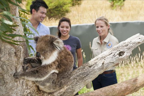 Great Ocean Ecolodge - Holiday Melbourne 1