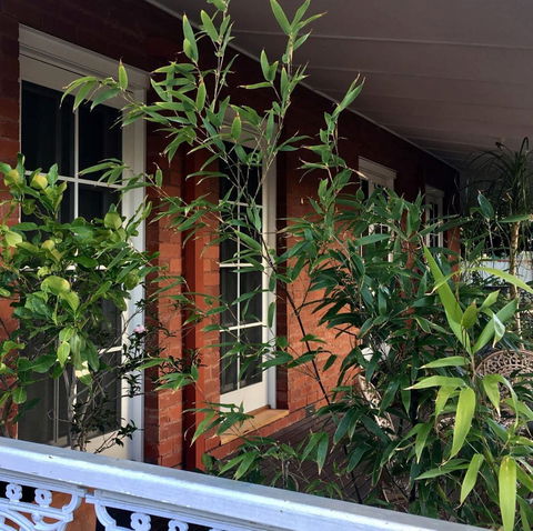 Heathcote Contemporary Art Boutique Accommodation - Holiday Sydney 6