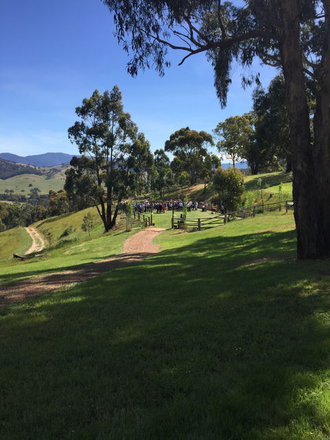 Howqua Valley Views - Lightning Ridge Tourism 8