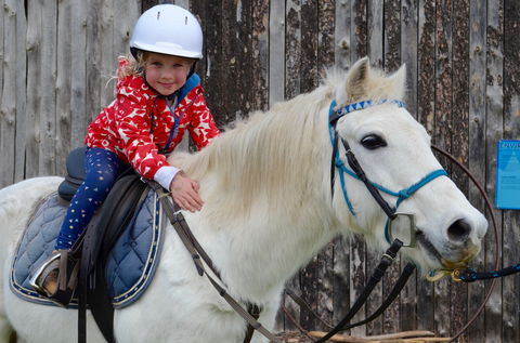 Narnu  Farm (Farm Stay/ School Camp) - Wagga Wagga Accommodation 1
