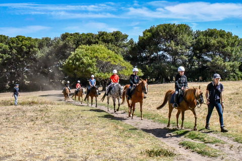 Narnu  Farm (Farm Stay/ School Camp) - Wagga Wagga Accommodation 2