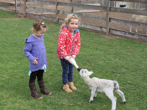 Narnu  Farm (Farm Stay/ School Camp) - Wagga Wagga Accommodation 4