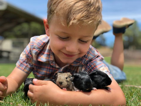 Narnu  Farm (Farm Stay/ School Camp) - Wagga Wagga Accommodation 5