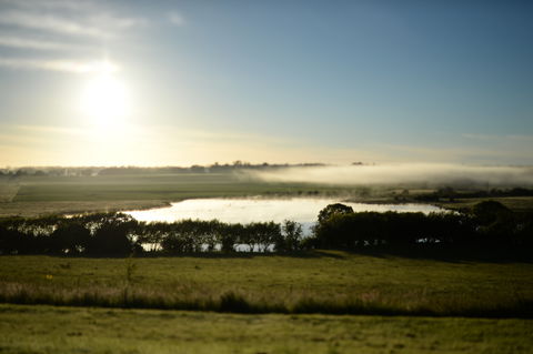 Quamby Estate - Accommodation Australia 7
