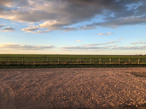 Tarnasey Farm - Schilling's Shack - Wagga Wagga Accommodation 8