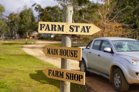 Tiandi Wildlife Sanctuary Farm Stay - Jambalaya Cottage - Casino Accommodation 5