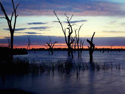 BIG4 NRMA Yarrawonga Mulwala Holiday Park - Accommodation Find 9