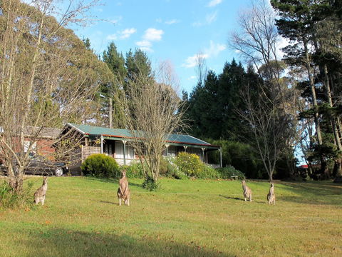 Cedar Lodge Cabins - Northern Rivers Accommodation 0