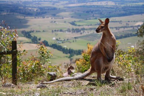 Eaglereach Wilderness Resort - Holiday Sydney 0