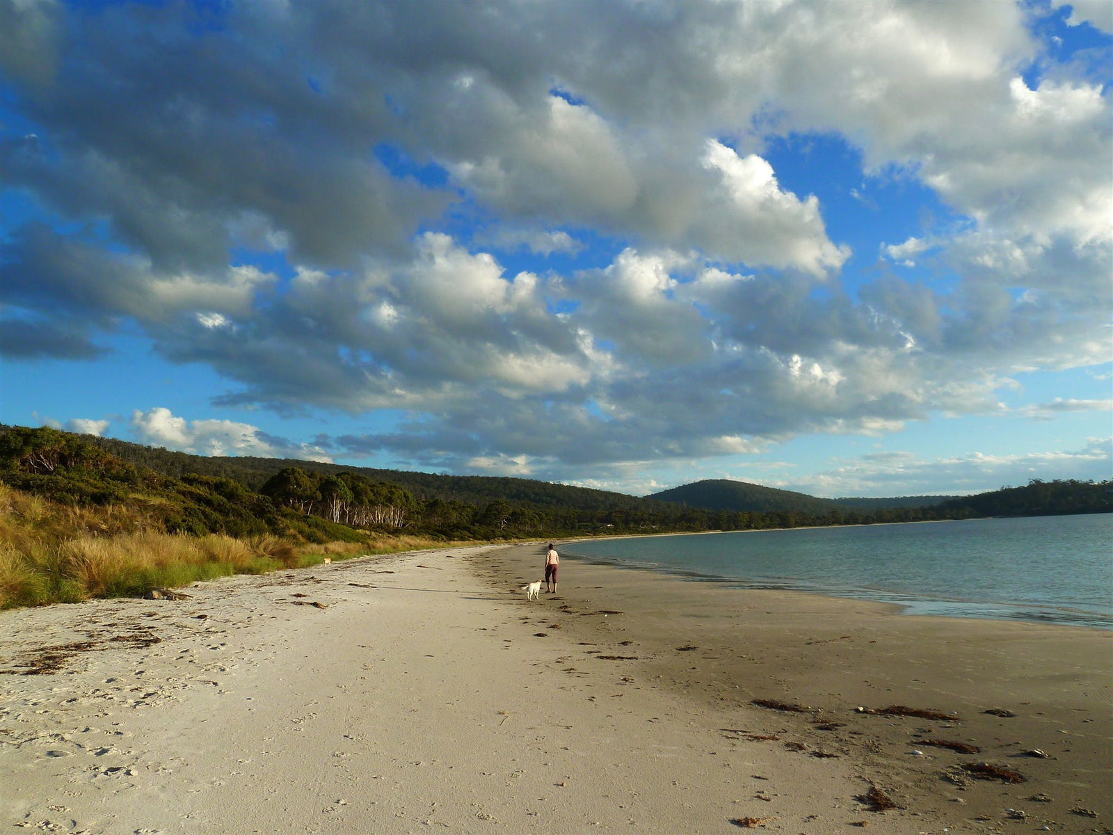 Harpers On The Beach - thumb 0