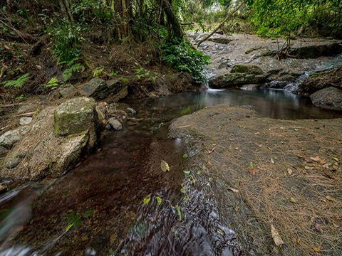 Jacky Barkers Campground - Holiday Sydney 1