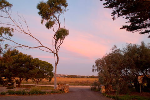 Jimmy Smith's Dairy - Accommodation Broken Hill 9