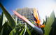 Mantra Mooloolaba Beach - thumb 2
