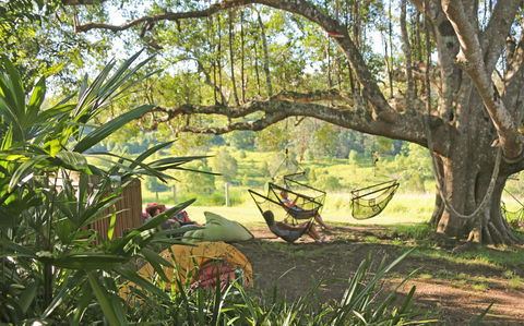 Nimbin Rox YHA - Townsville Tourism 0