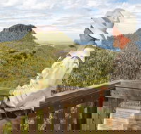 Bark Hut picnic area and campground - Byron Bay Accommodation