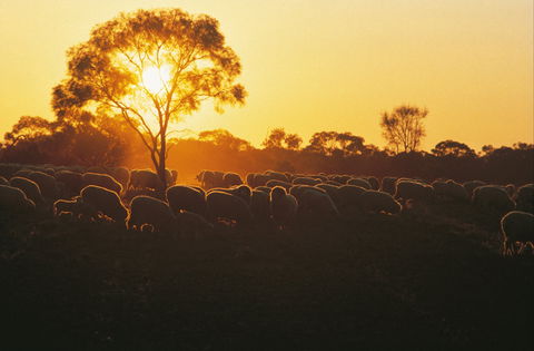 Clandulla Cottages & Farmstay - Accommodation Australia 0