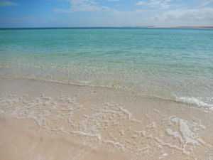Gnaraloo Station