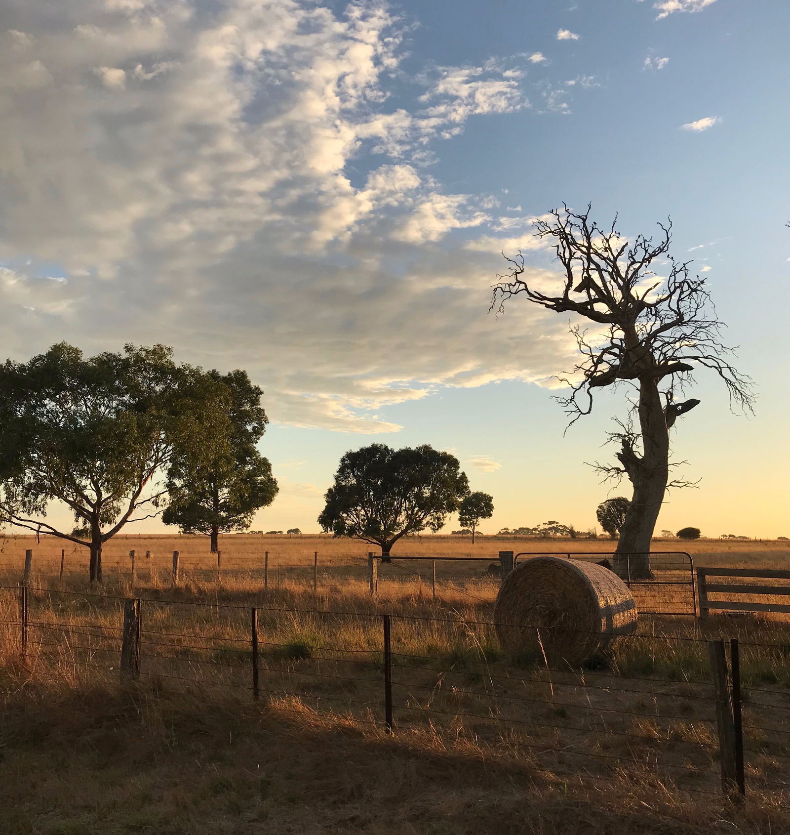 Stonehaven VIC WA Accommodation