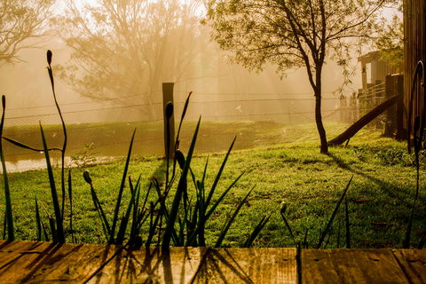 Tobruk Sydney Farm Stay - Accommodation QLD 1