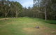Violet Hill Campground And Picnic Area - thumb 2