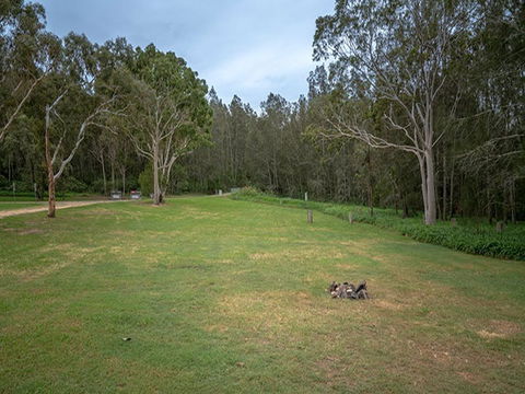 Violet Hill Campground And Picnic Area - Accommodation Australia 2