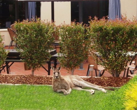 Alpha Canberra Hotel - Australian Destinations 0