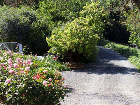 Brown's House Bed & Breakfast - YWait Travel 2