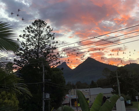 Chesson Lodge- In The Heart Of Uki - St Kilda Accommodation 0