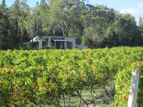 Just Red Wines Vineyard Cabins - Wagga Wagga Accommodation 0