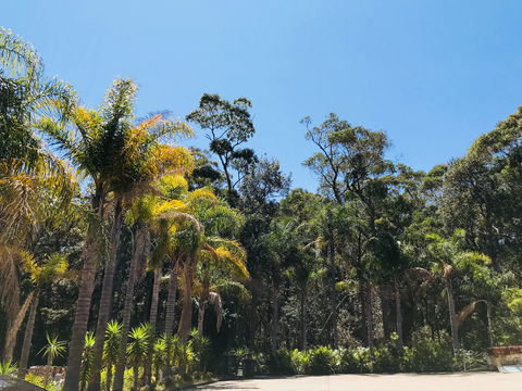 Mollymook Paradise Haven Apartment Motel - Sunshine Coast Guide 2