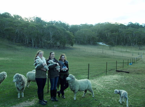 Old Minton Farmstay - Accommodation in Bendigo 1