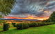 Old Wesleydale Heritage Accommodation - thumb 2