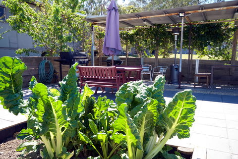 The Jabiru Motel - Accommodation Ballina 2