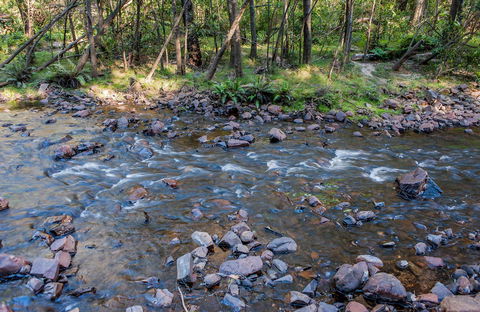 Toorooroo Campground - Whitsundays Tourism 0