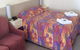 Woodmans Hill Motel Ballarat - thumb 0