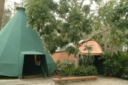 The Arts Factory Backpackers Lodge - Whitsundays Tourism 1