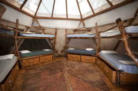 The Arts Factory Backpackers Lodge - Whitsundays Tourism 2