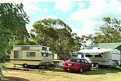 Ravensthorpe Caravan Park - thumb 2