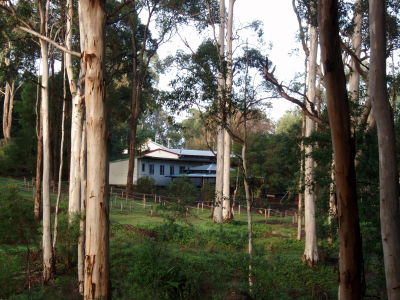 Pemberton Camp School - Byron Bay Accommodation 5