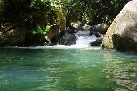 Daintree Secrets Rainforest Sanctuary - Holiday Melbourne 0