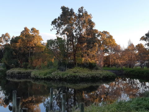 McLaren Vale Lakeside Caravan Park - Carnarvon Accommodation 1