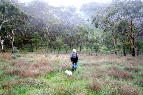 Molly's Chase - Carnarvon Accommodation 2
