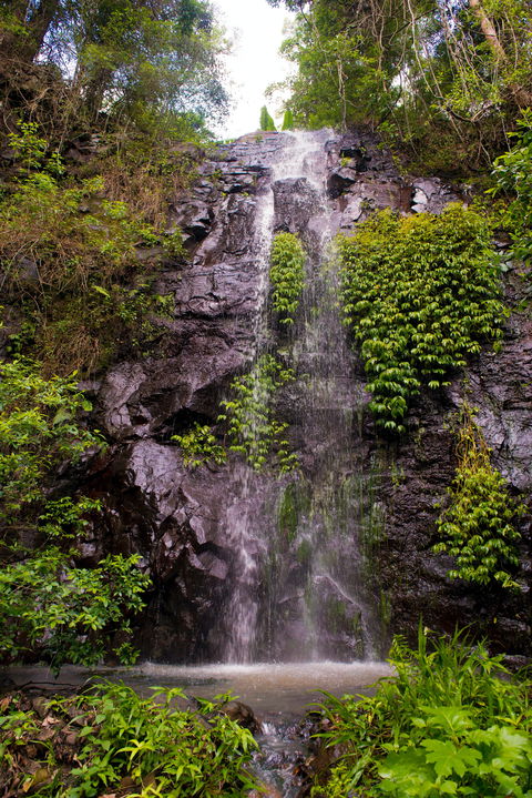 Nimbin Waterfall Retreat - Holiday Melbourne 0