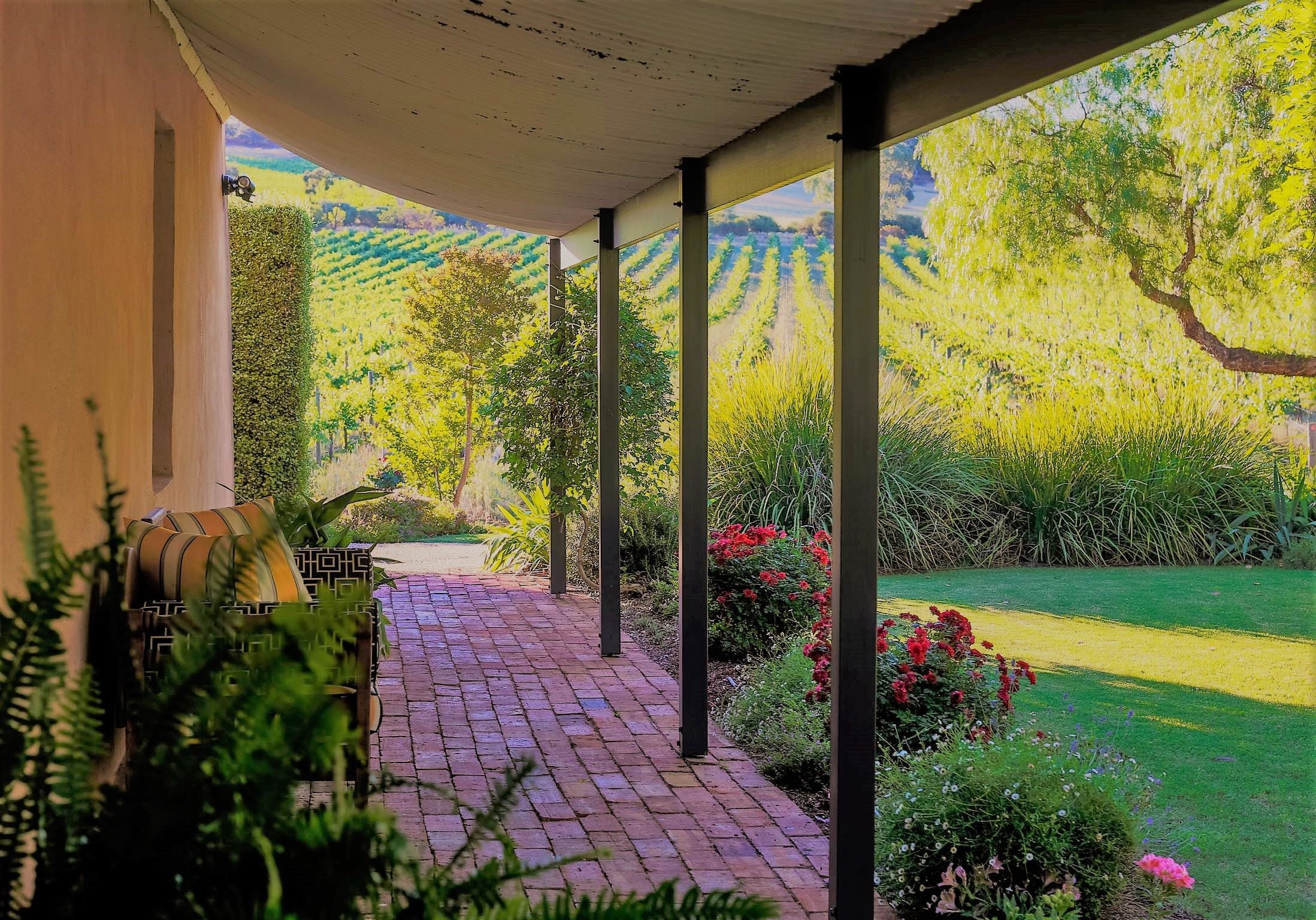 Seppeltsfield Vineyard Cottage - thumb 0