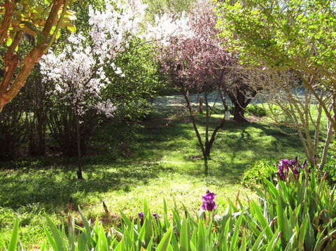Sofala Cottage - Townsville Tourism 0