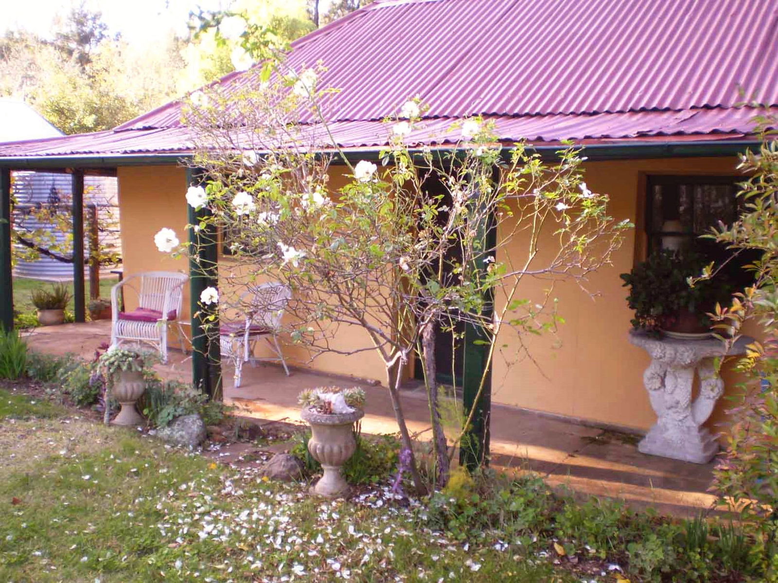 Sofala Cottage - thumb 1